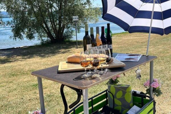 Radolfzell Lakeshore: DIY Wine Tasting With Wagon Hiking - The Sum Up