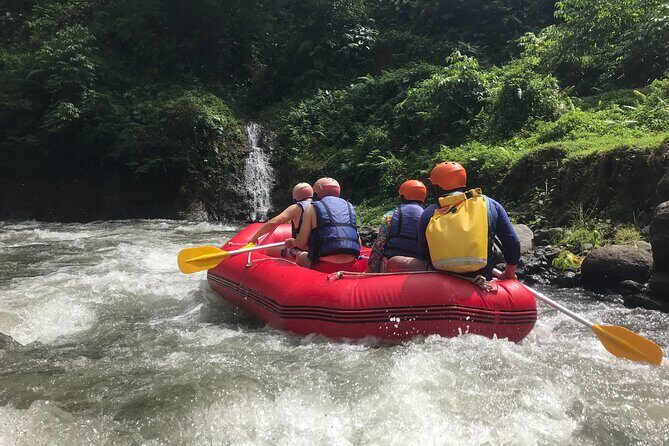 Rafting Adventure 18 km and Balinese Village Life Tour with Lunch - What Reviewers Say