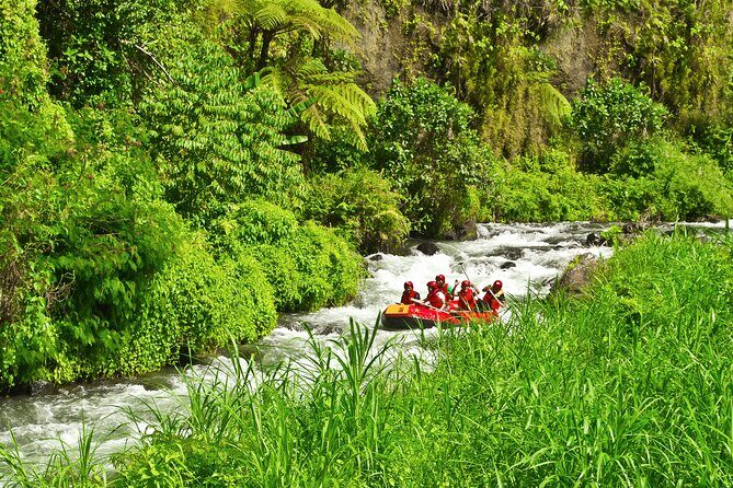 Rafting Adventure 18 km and Balinese Village Life Tour with Lunch - The Sum Up