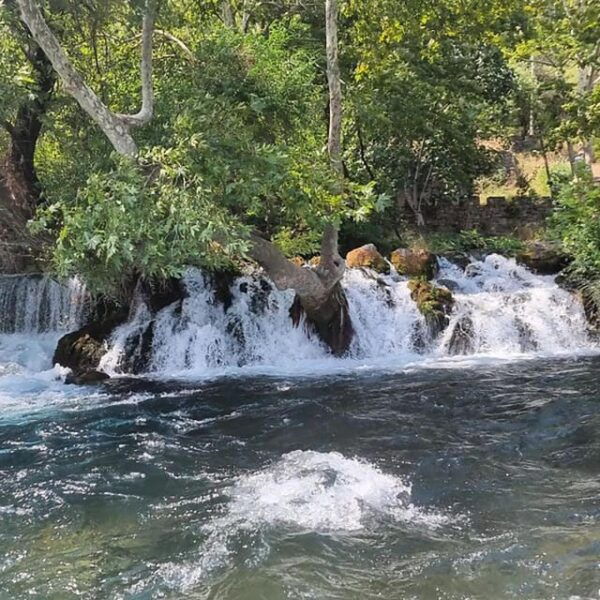 Rafting Adventure Tour From Antalya, Belek, Kundu, Side - Customer Feedback