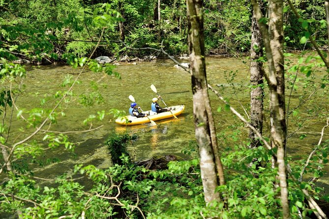 Rafting and Kayaking Adventure in River Kupa - Additional Info