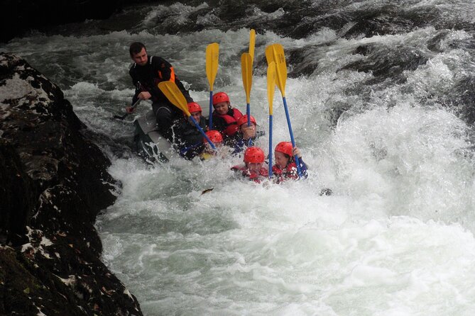 Rafting and Kayaking Adventure in River Kupa - Reviews