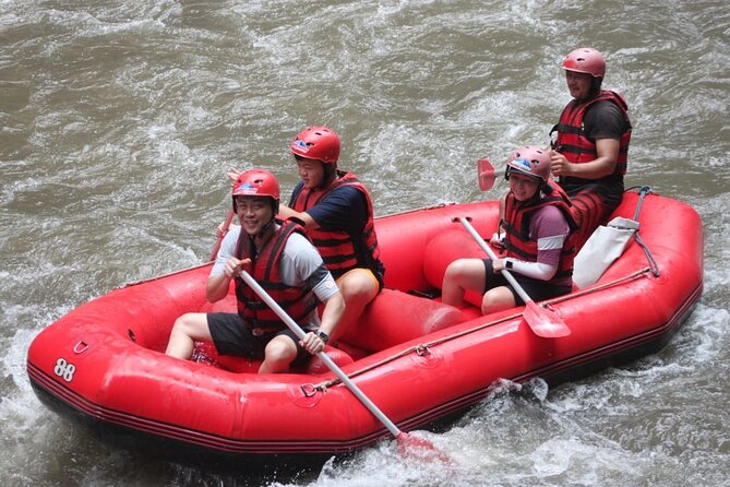 Rafting at Ayung River(Include Return Hotel Transportation) - Inclusions and Exclusions