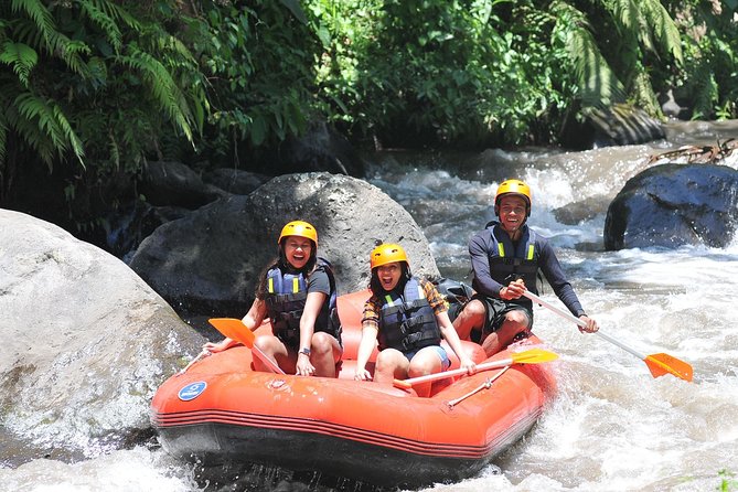 Rafting Private Ayung River With Private Boat in Ubud Bali - Tour Highlights