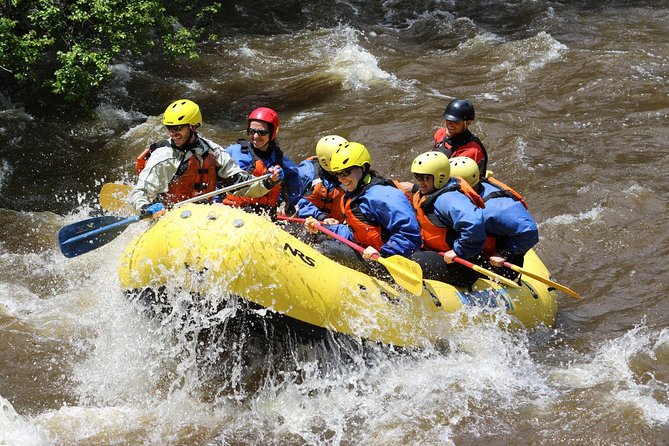 Rafting Tour in Trishuli River - Overview and Experience