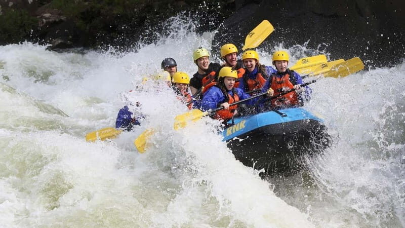 Rafting Tour, Transfer & Combo Options with Veg Lunch Option - Who Will Love This Tour?