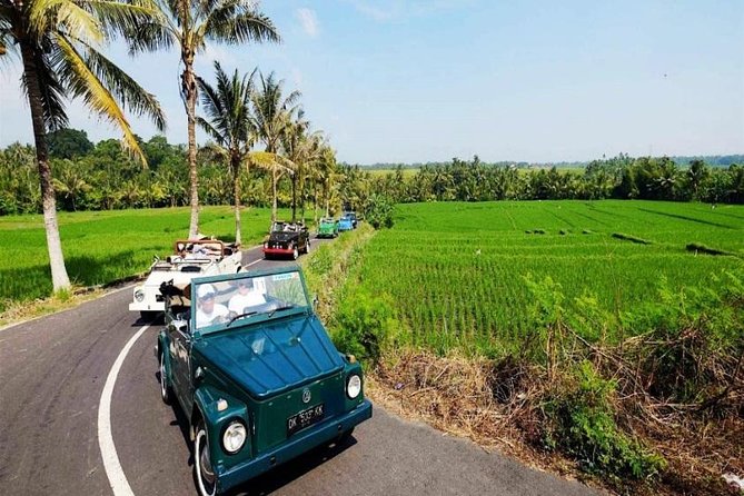 Rafting With VW ( Volkswagen ) Transfer - Review Overview