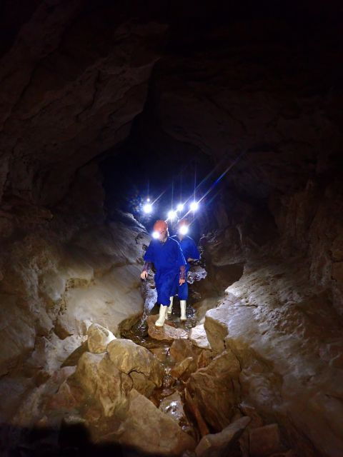 Raglan: Guided Cave Adventure With Glow Worms - Activity Details