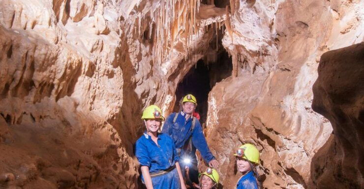 Raglan: Guided Cave Adventure With Glow Worms - Experience Highlights