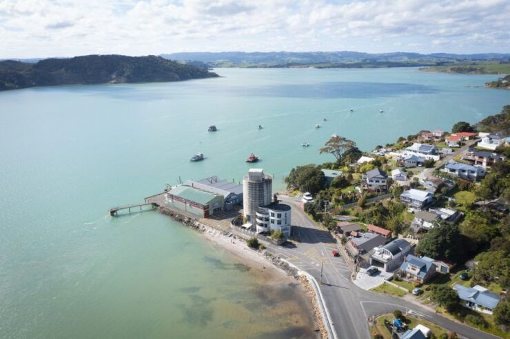Raglan: Nature Cruise of Raglan Harbour - Activity Details and Options