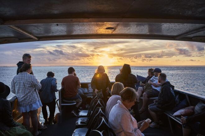 Raglan: Nature Cruise of Raglan Harbour - Duration and Starting Times