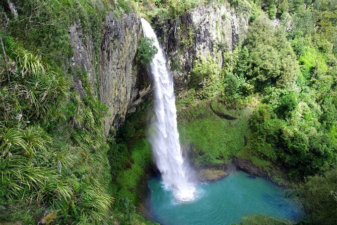 Raglan New Zealand Adventure Tour from Auckland - Good To Know