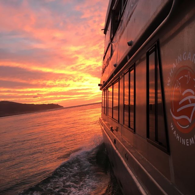 Raglan: Scenic Harbour Sunset Cruise - Highlights and Experience