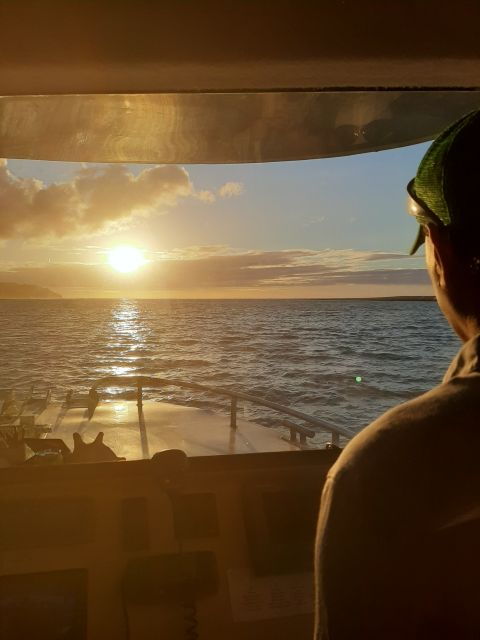 Raglan: Scenic Harbour Sunset Cruise - Participant Selection and Language