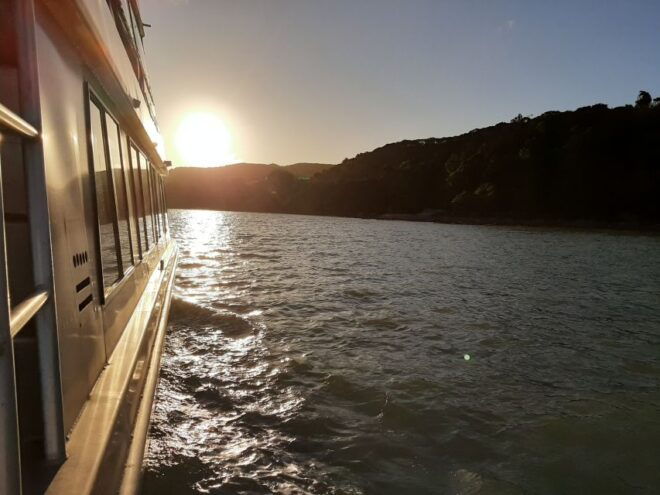 Raglan: Scenic Harbour Sunset Cruise - Other Water Activity Options in Raglan