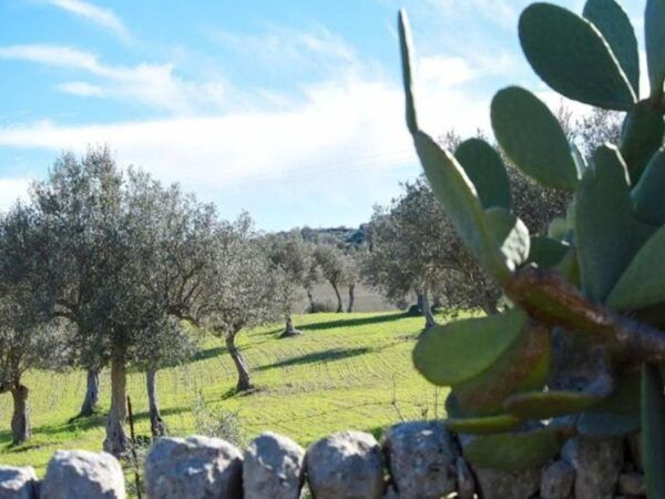 Ragusa: Ricotta Making Expereince at a Farm With Dinner - Directions