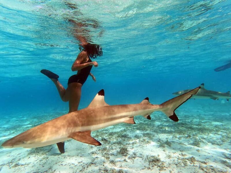 Raiatea: Boat tours and swimming around Tahaa Island. - FAQ