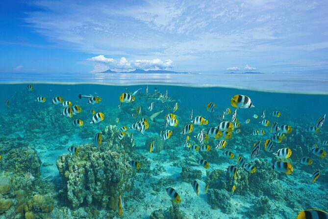 Raiatea & Tahaa Lagoon Cruise: Private Shore Tour - Good To Know