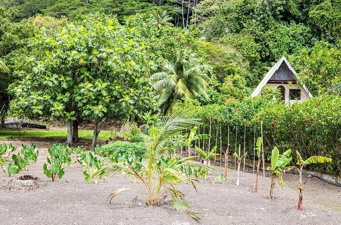 Raiatea & Tahaa Lagoon Cruise: Private Shore Tour - Frequently Asked Questions