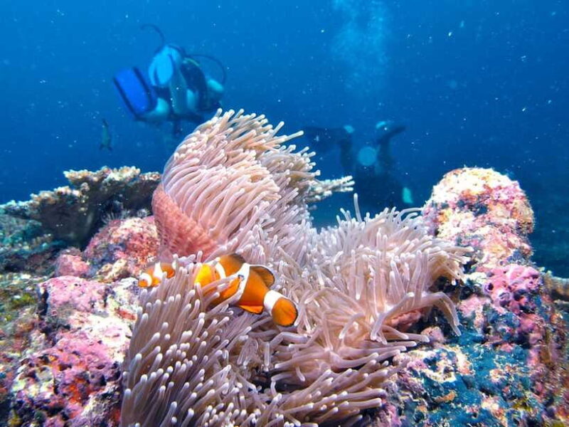 RAID Try-Dive in Kota Kinabalu, Sabah - Good To Know