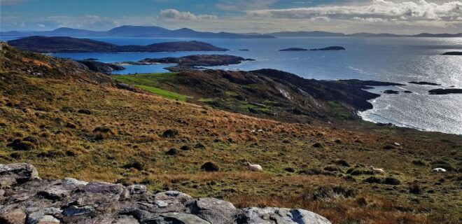 Rail Tour From Dublin: the Ring of Kerry - Customer Reviews