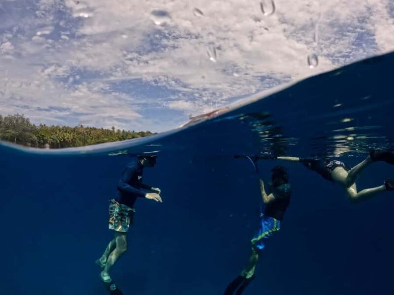 Railay: AIDA 1 or 2 Days Discover Freediving Courses - What You’ll Experience and Learn