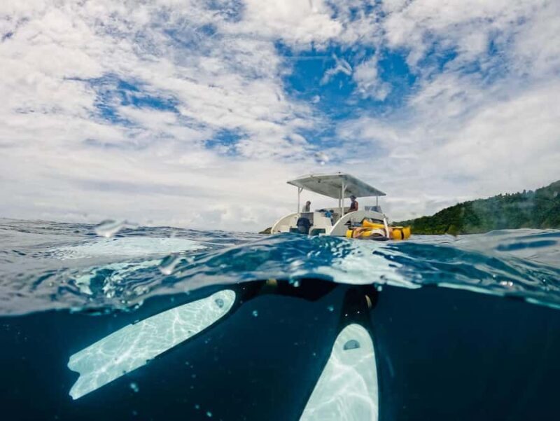 Railay: AIDA 1 or 2 Days Discover Freediving Courses - Good To Know