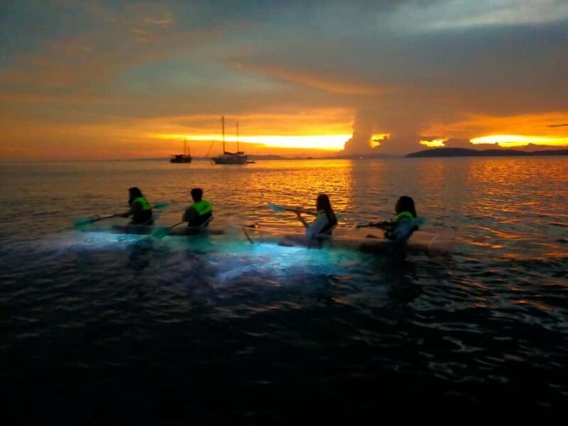 Railay: Illuminated Clear Kayak Night Tour Bioluminescence - Good To Know