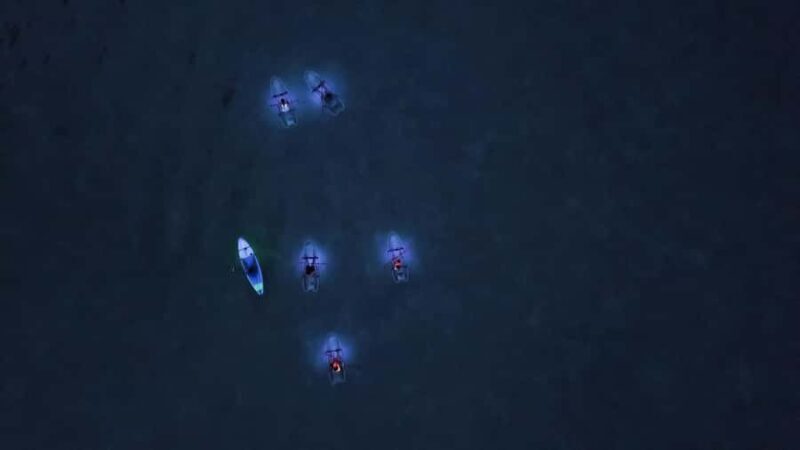 Railay: Illuminated Clear Kayak Night Tour Bioluminescence - Guides and Equipment