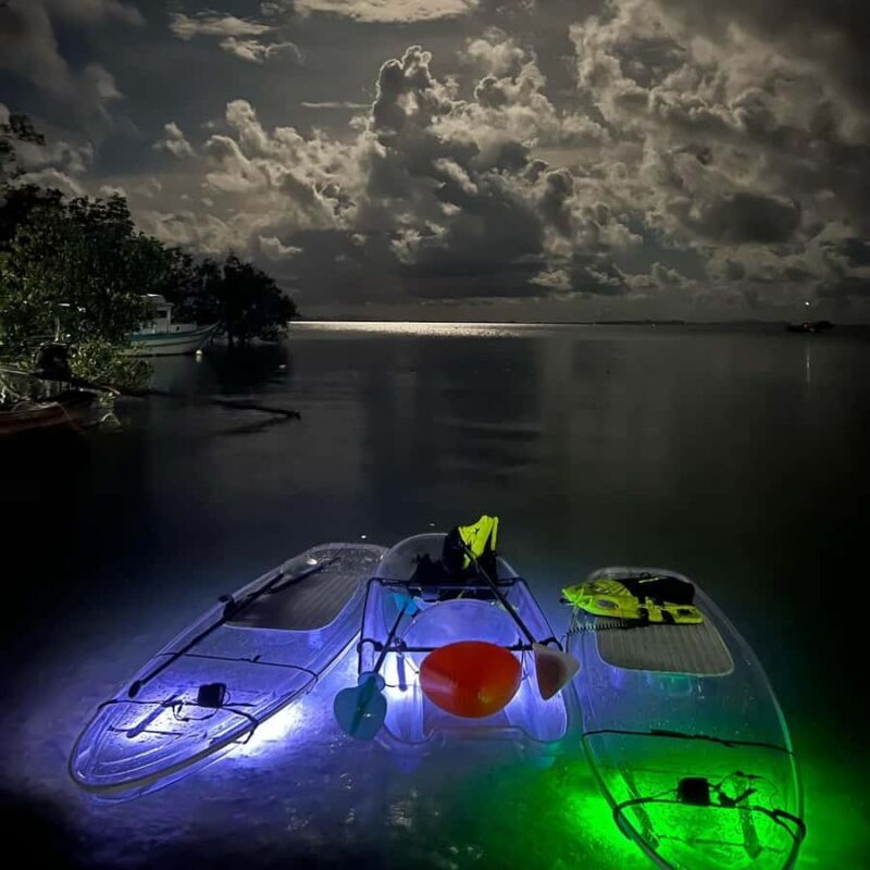 Railay: Illuminated Clear Kayak Night Tour Bioluminescence - The Cost and Value