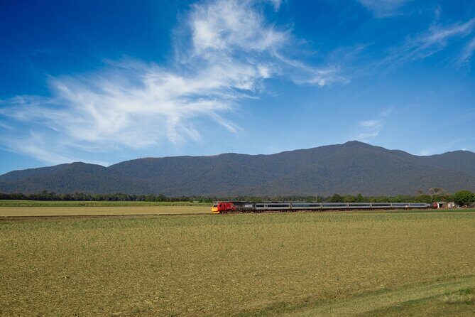 Railbed Brisbane to Cairns Train+Great Barrier Reef Day Tour - Good To Know