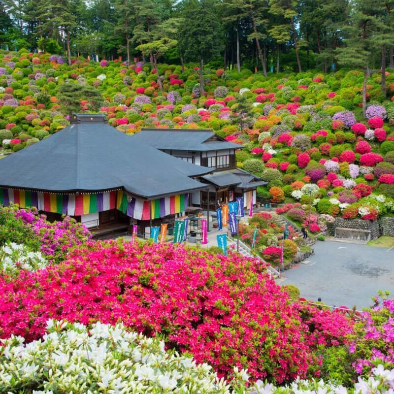 Railway & Retro Walk: me Line Nostalgia - Discover Tokyo’s Hidden Retro Side with the Railway & Retro Walk: me Line Nostalgia