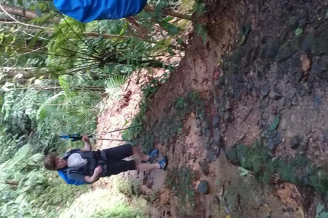 Rain forest and Bird watching - Who Should Consider This Tour?