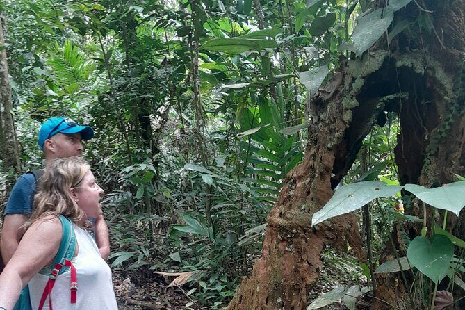 Rain forest and Bird watching - Frequently Asked Questions