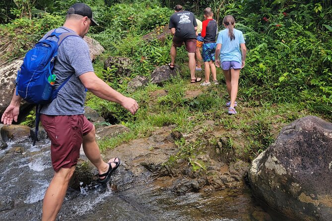 Rain Forest Waterfall Discovery With Natural Mud Bath - Additional Information and Accessibility