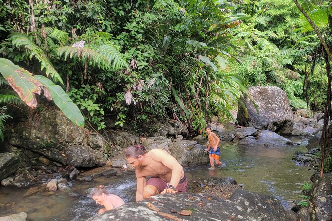 Rain Forest Waterfall Discovery With Natural Mud Bath - Reviews and Contact/Pricing Information