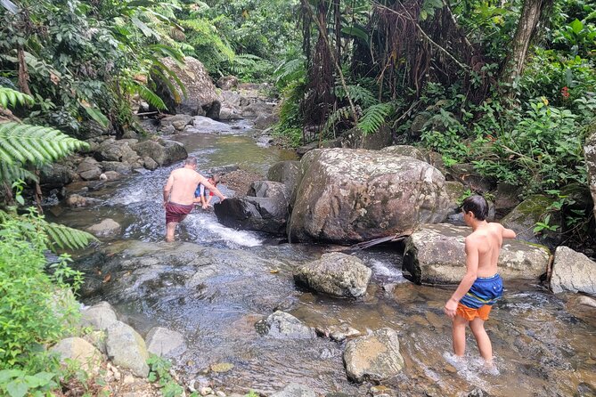 Rain Forest Waterfall Discovery With Natural Mud Bath - The Sum Up