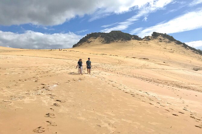 Rainbow Beach Tour With Lunch, Carlo Sandblow, and Cooloola - Tour Highlights