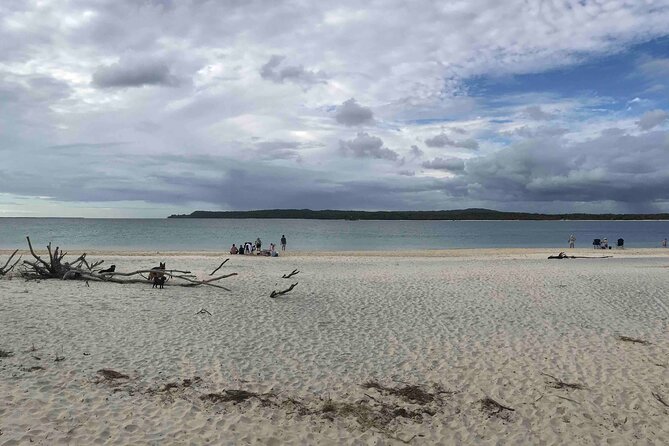 Rainbow Beach Tour With Lunch, Carlo Sandblow, and Cooloola - The Sum Up