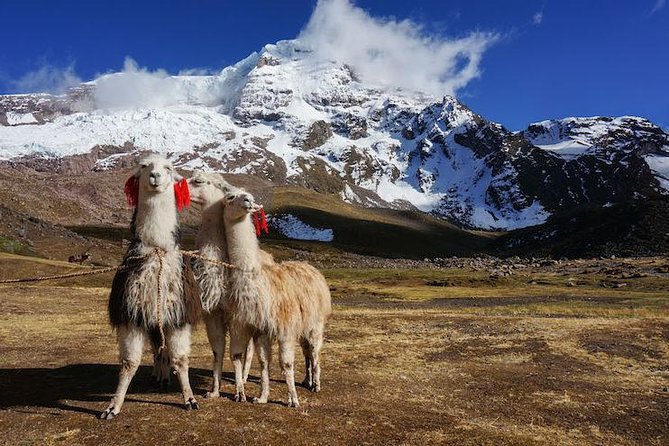 Rainbow Mountain and Red Valley - Private Service - Whats Included