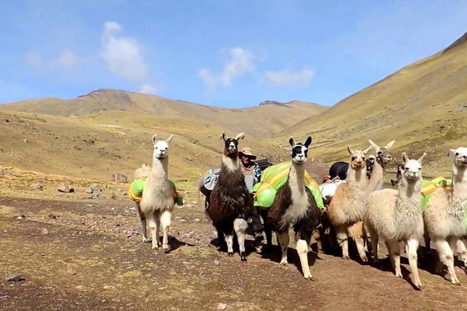 Rainbow Mountain and Red Valley - Private Service - Traveler Tips and Reviews