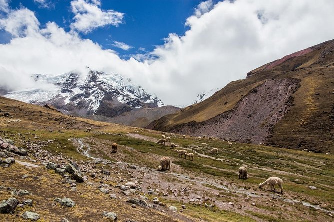 Rainbow Mountain - Group Service - Common Questions