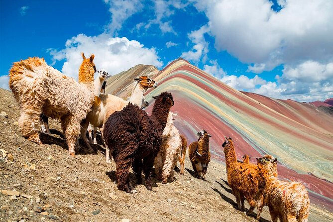 Rainbow Mountain in One Day From Cusco (Private Service) - Good To Know