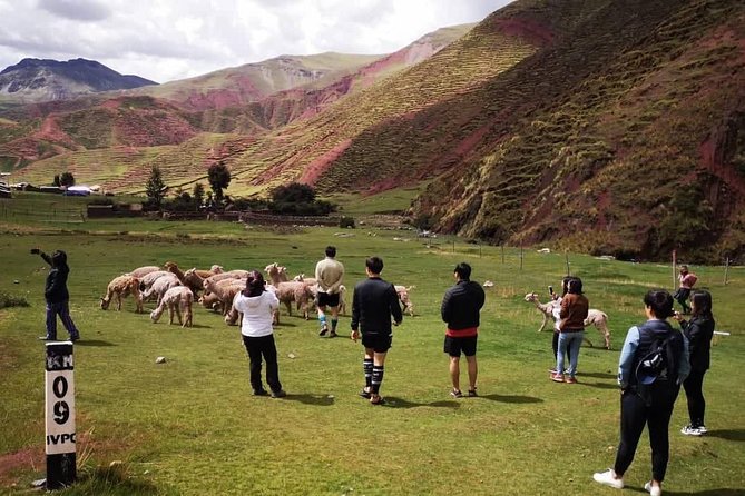 Rainbow Mountain Palccoyo 1 Day ( Cusco ) - Important Information and Tips