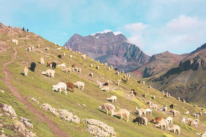 Rainbow Mountain & Red Valley (First Ones to Arrive)6 Small Group - Inclusions