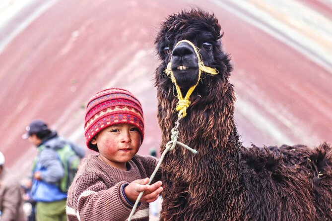 Rainbow Mountain Ride Horse - Transportation and Meals