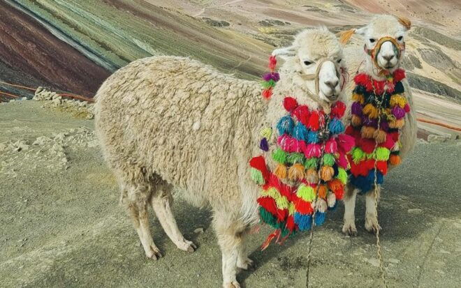 Rainbow Mountain Trek 1 Day - Rainbow Mountain Details