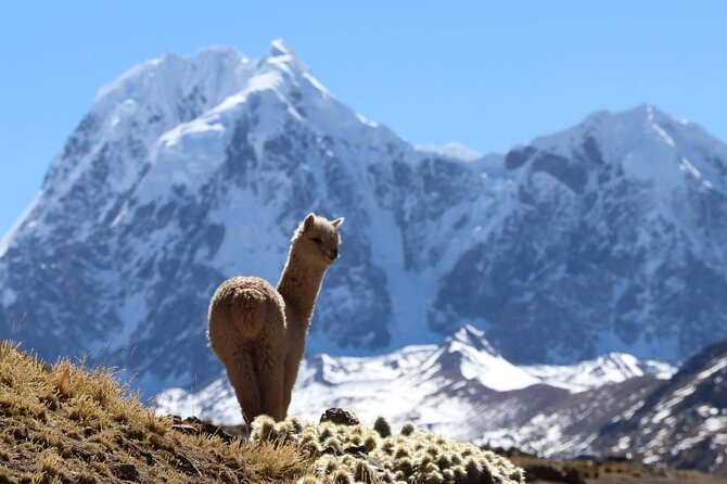 Rainbow Mountain Vinicunca Full Day And Red Valley - Good To Know