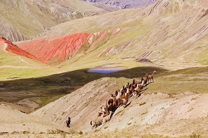 Rainbow Mountains of Palccoyo (Day Trip) - Photography Tips for Palccoyo Rainbow Mountains