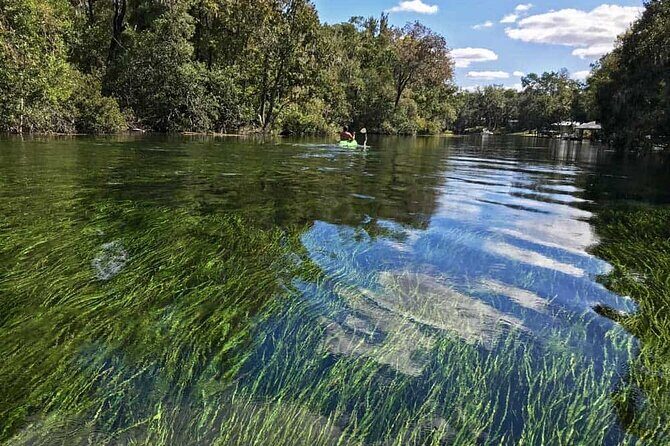 Rainbow River: 8AM & 3PM Snorkel or Scenic Wildlife Cruise - The Itinerary: What to Expect on Your Cruise
